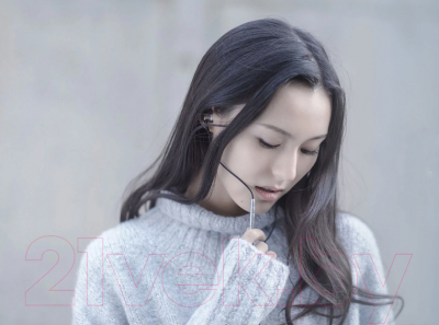 Наушники-гарнитура Xiaomi Mi In-Ear Pro HD (серебристый)
