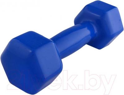 Гантель ZEZ Sport 3kg (синий)