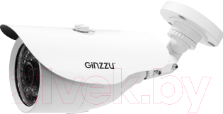 IP-камера Ginzzu HIB-1331A