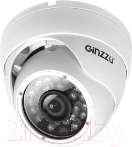 IP-камера Ginzzu HID-1331A