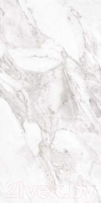 Плитка Argenta Carrara White Matt (300x600)