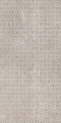 Плитка Argenta Frame Dcor Grey (250x500)