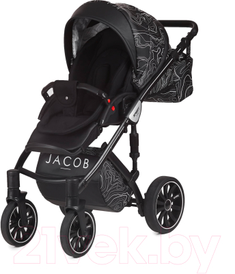 Детская универсальная коляска Anex Sport Jacob 3 в 1