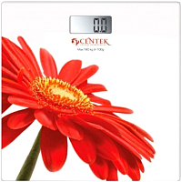 

Напольные весы электронные, CT-2422