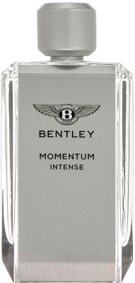 Парфюмерная вода Bentley Momentum Intense (100мл)