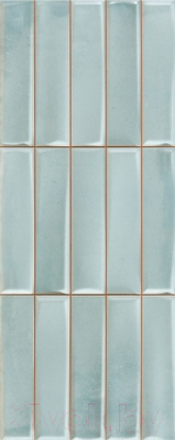 Декоративная плитка Argenta Camargue Argens Aqua (200x500)