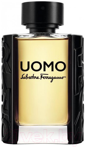 Туалетная вода Salvatore Ferragamo Uomo