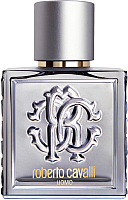 

Туалетная вода Roberto Cavalli, Uomo Silver Essence