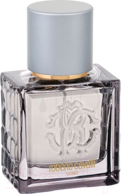 Туалетная вода Roberto Cavalli Uomo Silver Essence (40мл)