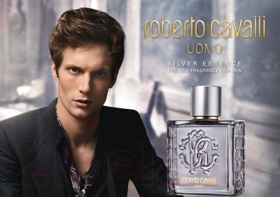 Туалетная вода Roberto Cavalli Uomo Silver Essence (40мл)