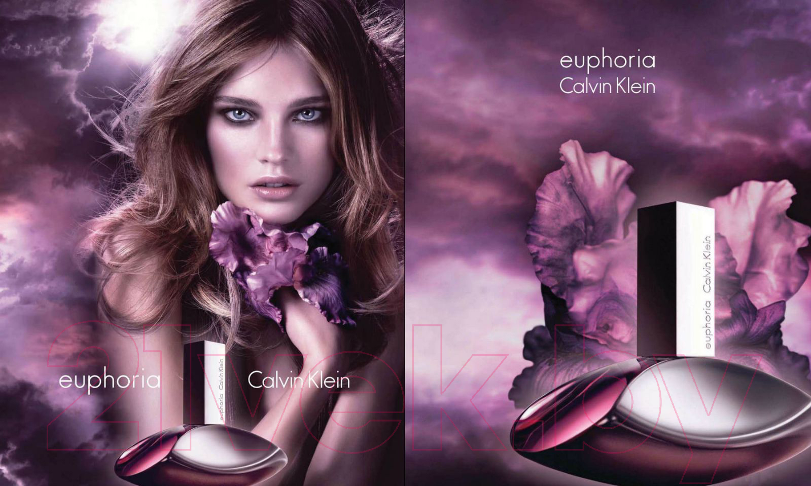 Парфюмерная вода Calvin Klein Euphoria Eau Spray (50мл)