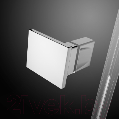 Душевая стенка Radaway Essenza New PTJ 80Z+100S 2Walls / 385054-01-01