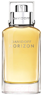 

Туалетная вода Davidoff, Horizon