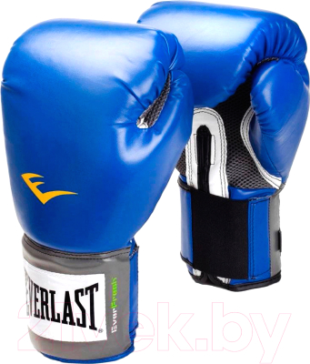 Боксерские перчатки Everlast Pro Style Anti-MB 2210U / 10oz (синий)