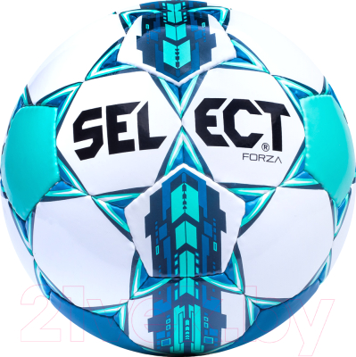 Футбольный мяч Select Forza (размер 5)