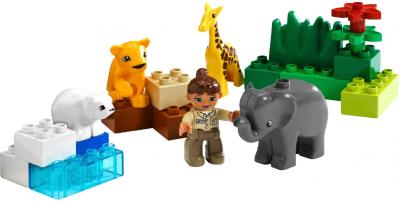 Конструктор Lego Duplo Детский зоопарк (4962) - общий вид