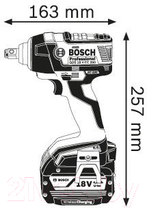 Профессиональный гайковерт Bosch GDS 18 V-EC 250 Professional (0.601.9D8.102)