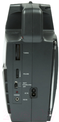 Радиоприемник Ritmix RPR-555