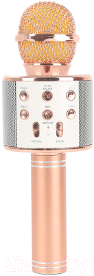 Микрофон Wise WS-858 (розовый металлик)