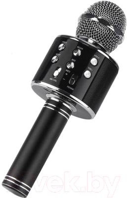Микрофон Wise WS-858 (черный металлик)