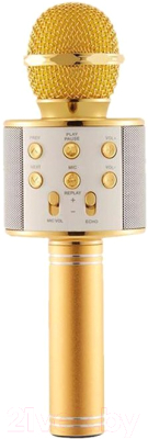 Микрофон Wise WS-858S (золото)