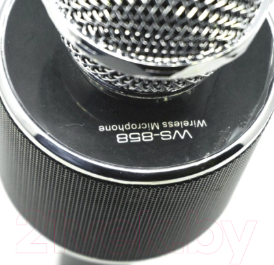 Микрофон Wise WS-858S (черный металлик)