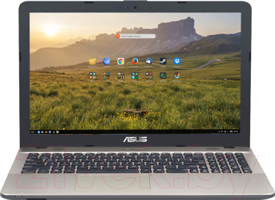 Ноутбук Asus VivoBook X541NA-GQ231