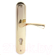 Ручка дверная Apecs HP-85.0423-G - 