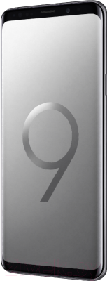 Смартфон Samsung Galaxy S9+ Dual 64GB / G965F (серый)