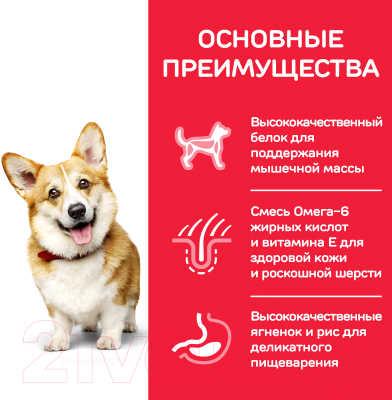 Сухой корм для собак Hill's Science Plan Adult Small & Miniature Lamb & Rice (1.5кг)