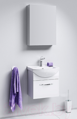 Шкаф с зеркалом для ванной Aqwella МС 50 / МС.04.05