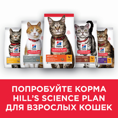 Сухой корм для кошек Hill's Natures Best Adult Tuna (0.3кг)