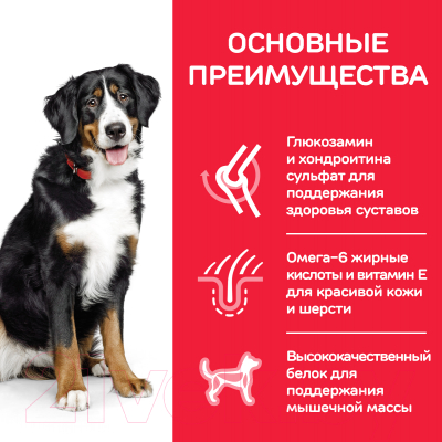 Сухой корм для собак Hill's Science Plan Adult Advanced Fitness Large Breed Lamb & Rice (12кг)