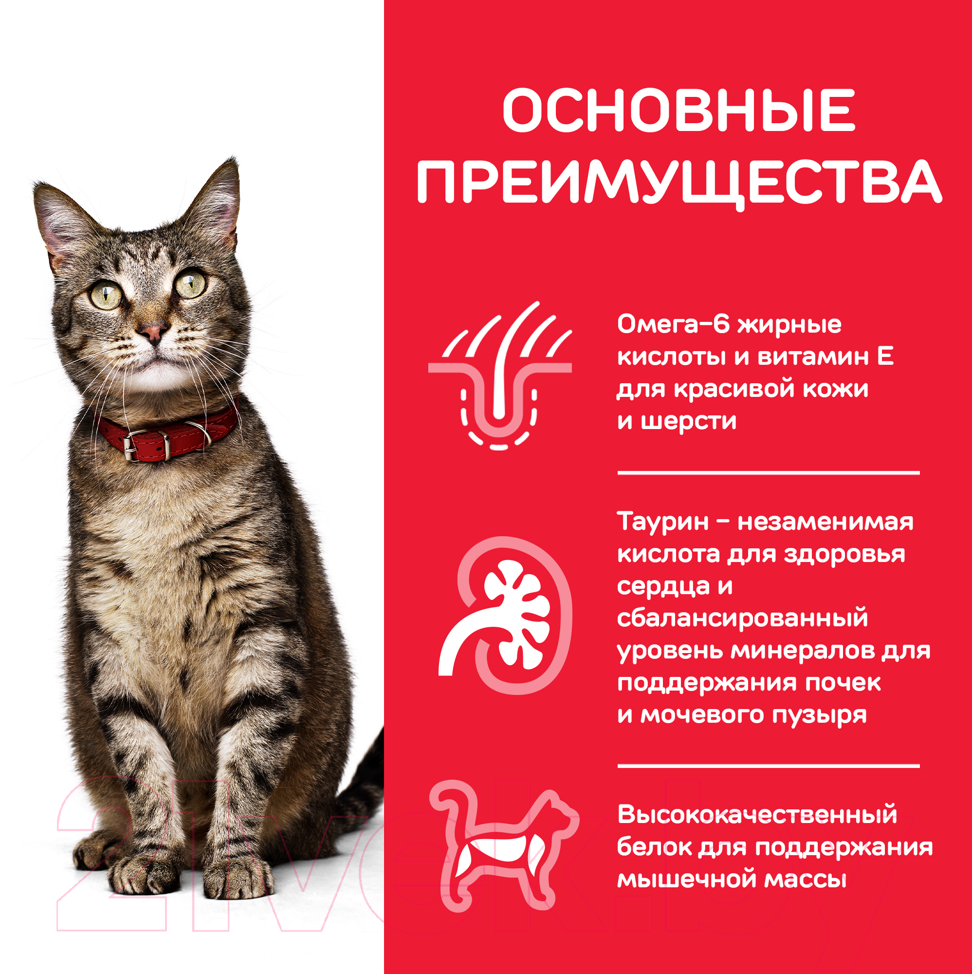 Корм для кошек Hill's Science Plan Adult Optimal Care Tuna (10кг)