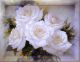 Картина Декарт Нежные белые розы 8Л0465 - 