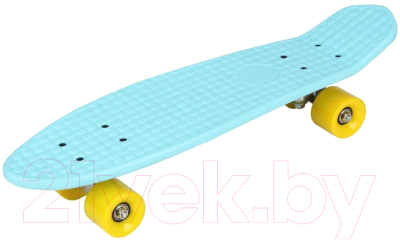 

Пенни борд Relmax, GS-SB-X24