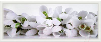 Картина Декарт Белые цветы крокусы 8Л0554