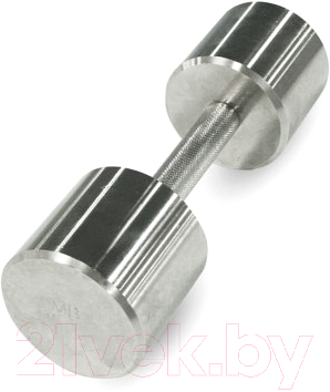Гантель MB Barbell Фитнес (4кг, хром)