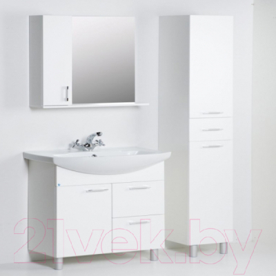Шкаф с зеркалом для ванной АВН Эко+ 50 / 13.35-01 (3)