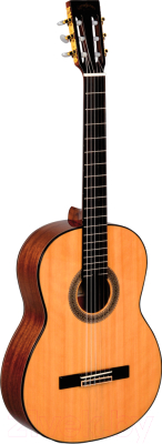 Акустическая гитара Sigma Guitars CM-6
