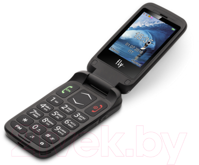 Мобильный телефон Fly Ezzy Trendy 3 (красный)