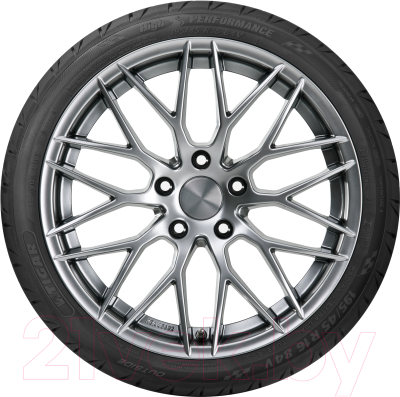 Летняя шина Tigar High Performance 205/60R15 91V