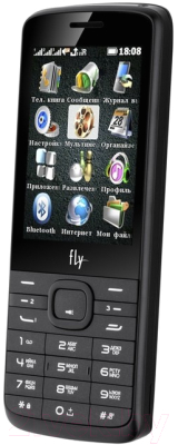 Мобильный телефон Fly TS113 (черный)