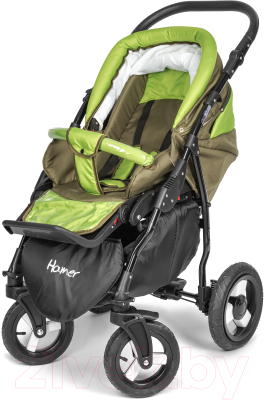 Детская универсальная коляска Aneco Hamer 2 в 1 (темно-зеленый)