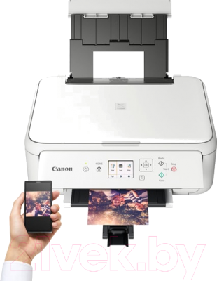 МФУ Canon Pixma TS5140 /2228C027 (белый)