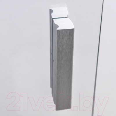 Душевая дверь Roltechnik Lega Lift Line LZDO1/100 (хром/прозрачное стекло)