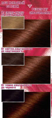 Крем-краска для волос Garnier Color Sensation Роскошный цвет 5.35 (пряный шоколад)