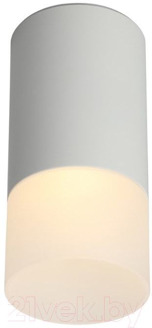 Потолочный светильник Omnilux Lucido OML-100609-01