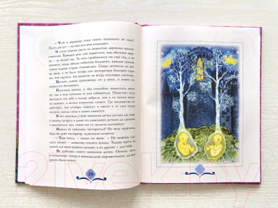 

Книга Издательство Мещерякова, Сказки Румынии
