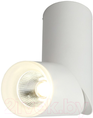 Точечный светильник Omnilux Ultimo OML-100209-10